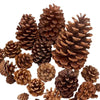 A cluster of natural dried brown pine cones used for Christmas decor and DIY crafts