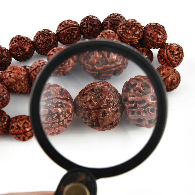 A pocket magnifier shows a cluster of dark brown, textured, spherical objects under magnification.