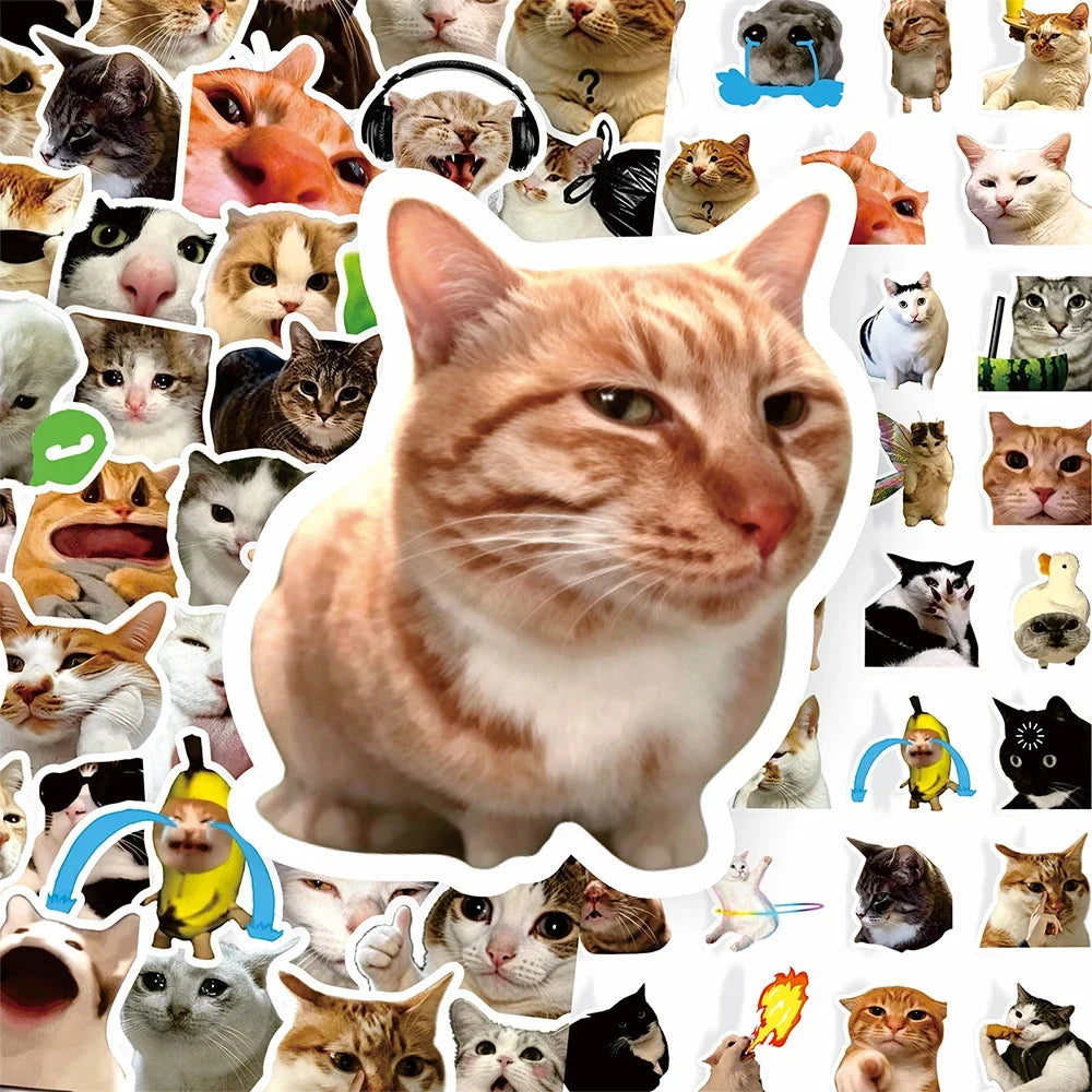 A collage of various funny cat faces and memes used as cartoon decals for laptops and bottles.