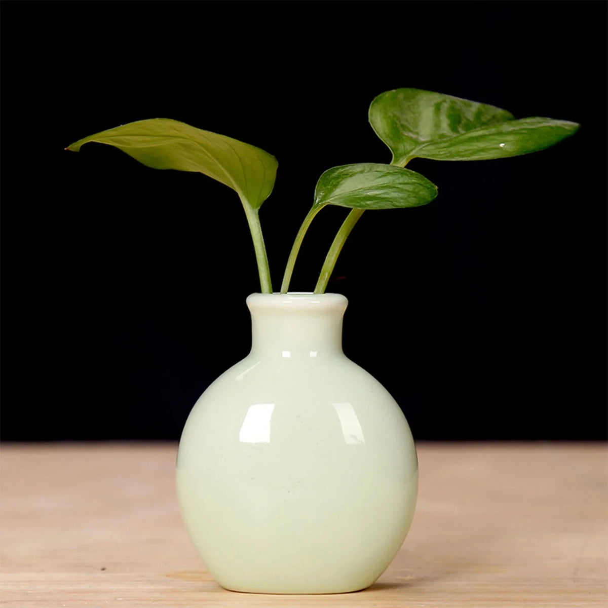 Handcrafted Ceramic Mini Vase for Desk & Tabletop Decor
