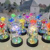 A collection of glass domes filled with glowing eternal roses and LED lights displayed on a table.