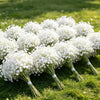 A bouquet of white baby's breath flowers arranged on green grass.