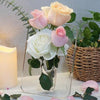 Clear Acrylic Photo Frame Vase for Desk & Shelf Display