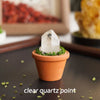 A clear quartz point crystal is displayed in an orange terracotta pot surrounded by green moss.
