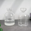 Klares Glas-Hydroponik-Pflanzer mit Wasser, von vorne gezeigt.