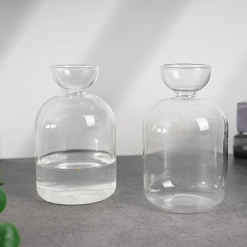 Klares Glas-Hydroponik-Pflanzgefäß mit Wasser, von vorne gezeigt.