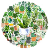 A circular arrangement of various potted succulent plants and cacti.