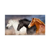 Three horses galloping in a dusty field, featuring white, black, and chestnut colors.