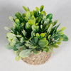 Artificial potted plant with bright green succulent leaves in a woven natural fiber pot.