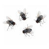Three small insects with translucent wings and dark bodies are shown against a white background.