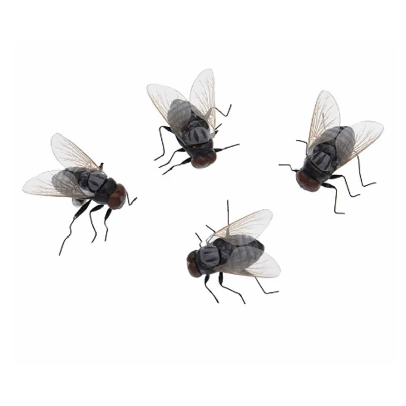 Three small insects with translucent wings and dark bodies are shown against a white background.