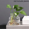 A clear glass vase holds thin plant stems and leaves on a white surface.