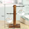 A wooden stand holds two glass plant vases, demonstrating a vintage hydroponic setup.