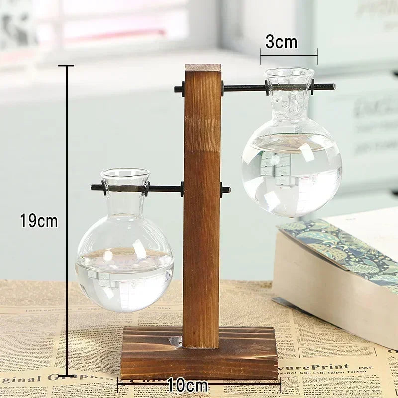 A wooden stand holds two glass plant vases, demonstrating a vintage hydroponic setup.