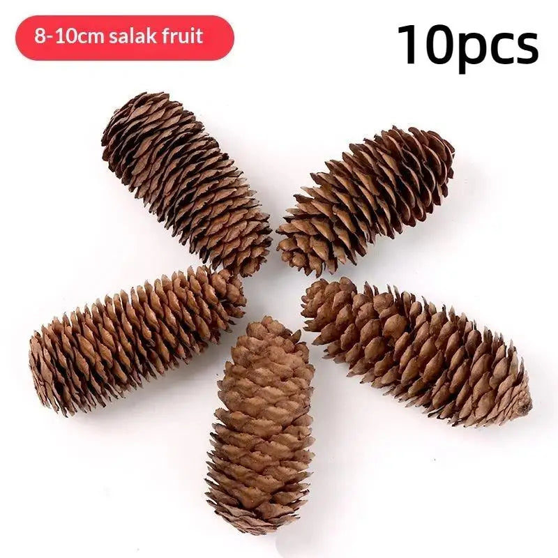 Ten natural dried brown pine cones for Christmas decor and DIY crafts