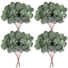 Green eucalyptus leaves with small white flowers on brown stems for vase decor and wedding arrangements