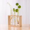 A wooden planter box holds several glass test tube vases with green plants and roots.