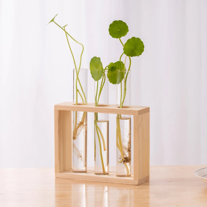 A wooden planter box holds several glass test tube vases with green plants and roots.
