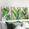 A set of three framed watercolor prints featuring lush green tropical leaves on a white background.