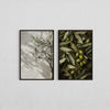 Two framed botanical prints featuring olive branches and leaves on a white wall.