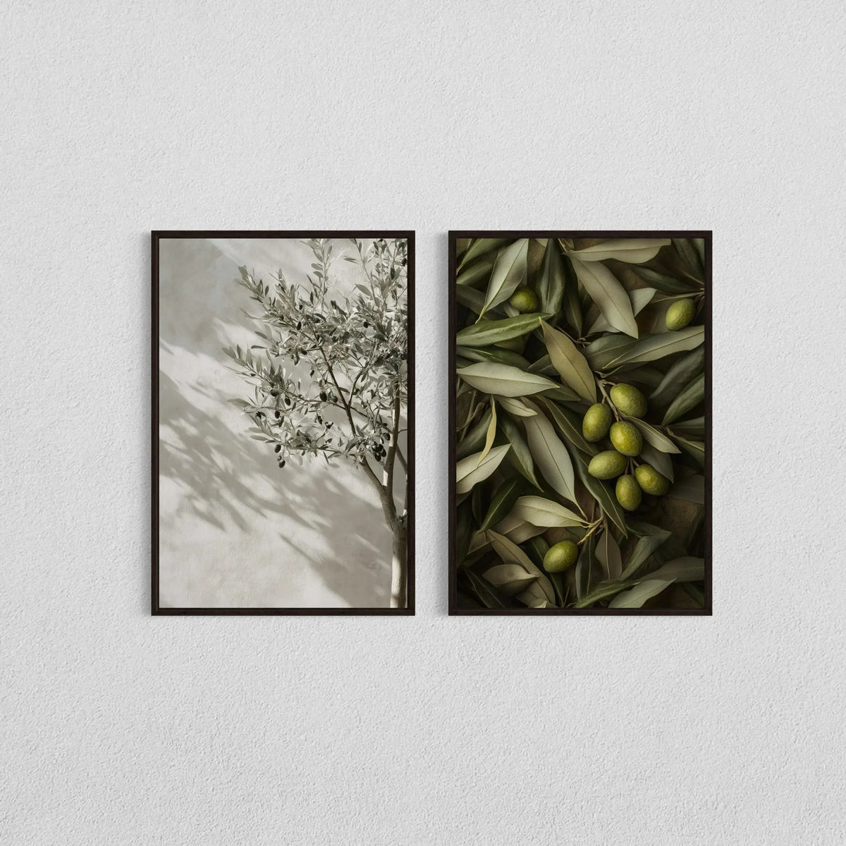 Two framed botanical prints featuring olive branches and leaves on a white wall.