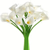 A bouquet of five white calla lily stems for decoration.