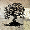 Black silhouette of a large tree with roots against a light stone wall.