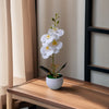 A white artificial orchid plant in a small pot displayed on a wooden table.