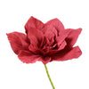A vibrant, deep red peony-like rose flower with ruffled petals on a green stem.