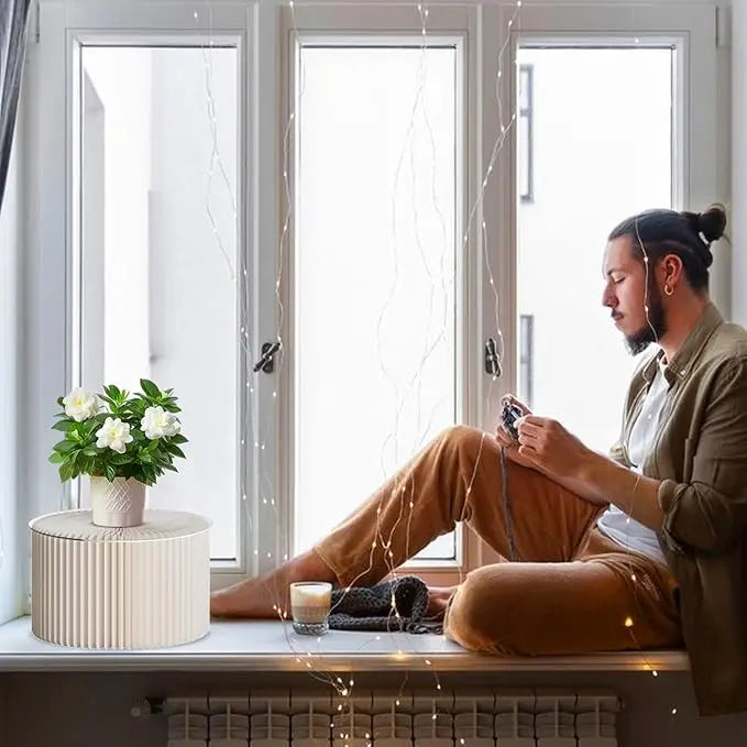 Une personne est assise à une fenêtre regardant son téléphone tandis que des supports alimentaires en acrylique sont exposés 