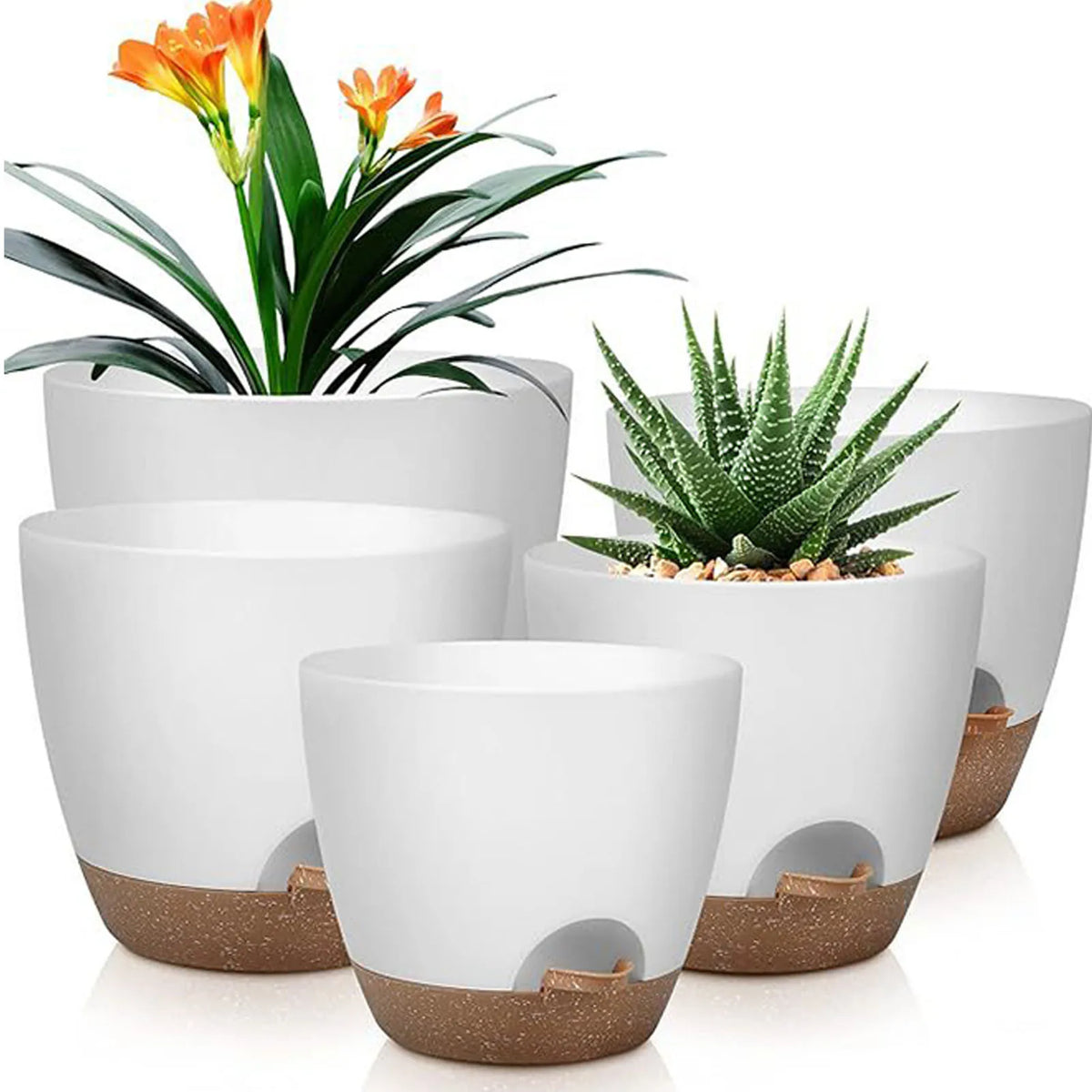 A set of five white self-watering flower pots with brown accents, featuring vibrant orange and yellow flowers.