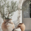 A terracotta vase filled with olive branches sits on a white wall next to a light-colored door frame.