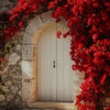 A white arched wooden door framed by vibrant red bougainvillea vines on a stone wall.