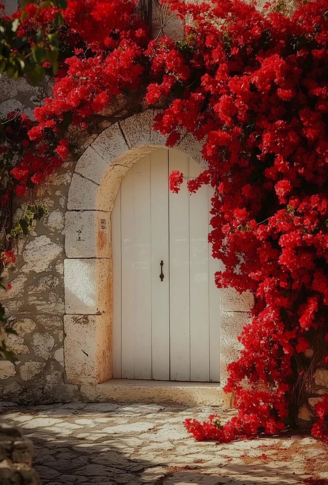 A white arched wooden door framed by vibrant red bougainvillea vines on a stone wall.