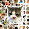 A collage of various funny cat meme cartoon decals featuring different cats with exaggerated expressions.