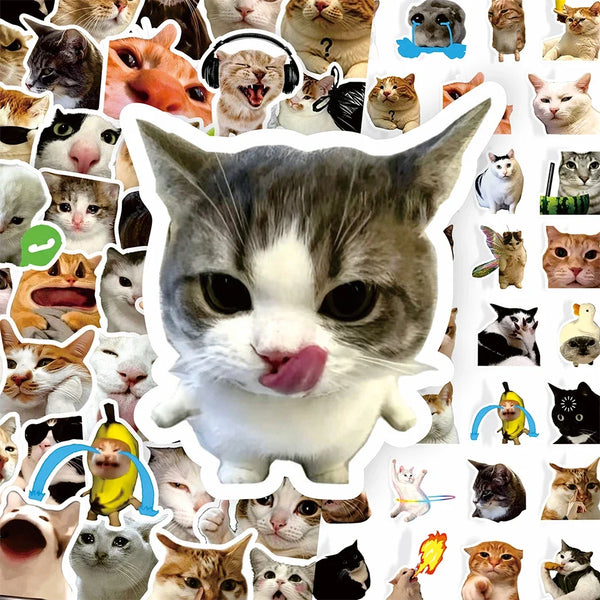 Collage de pegatinas de memes divertidos de gatos con expresiones exageradas.