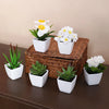 A set of six white artificial flowers and green succulent plants potted in white ceramic containers on a wooden surface.