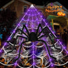 A large black spider is centered in a purple glowing spider web against the backdrop of a house decorated for Halloween.