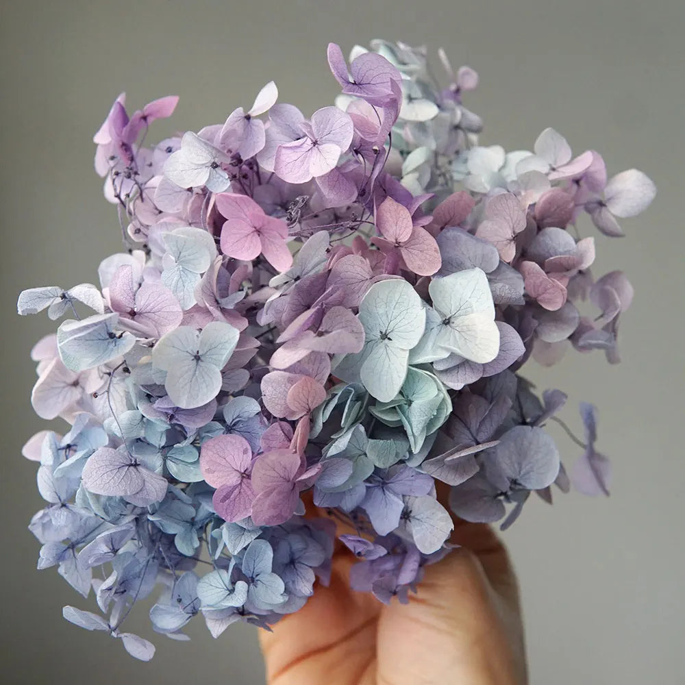 A hand holds a bouquet of dried hydrangea flowers in shades of lavender and blue-gray.