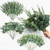 A collection of fresh green eucalyptus leaf stems used for vase decor and wedding arrangements.