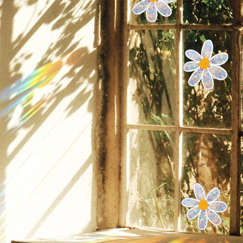 A window with sunlight streaming through, casting shadows and a rainbow onto the sill, featuring daisy flower decals.