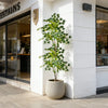 Large Artificial Japanese Maple Tree – Lifelike Faux Red & Green Leaves for Indoor & Outdoor Decor