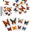 A collection of twelve colorful butterfly stickers in various shades and patterns displayed against a white background.