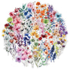 A vibrant watercolor floral design featuring various pink, orange, purple, and blue flowers on a white background.