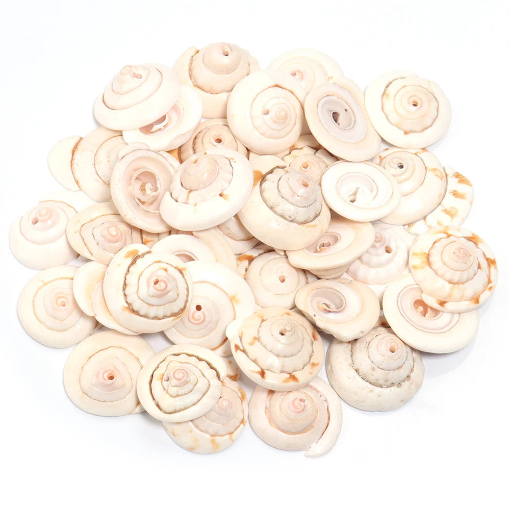 Natural Sea Snail Shell Beads for DIY Jewelry Making