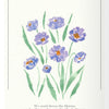 Watercolor illustration of purple and blue flowers with green stems on a light background.