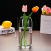 A clear glass hydroponic vase holds two pink and orange tulips on a table.
