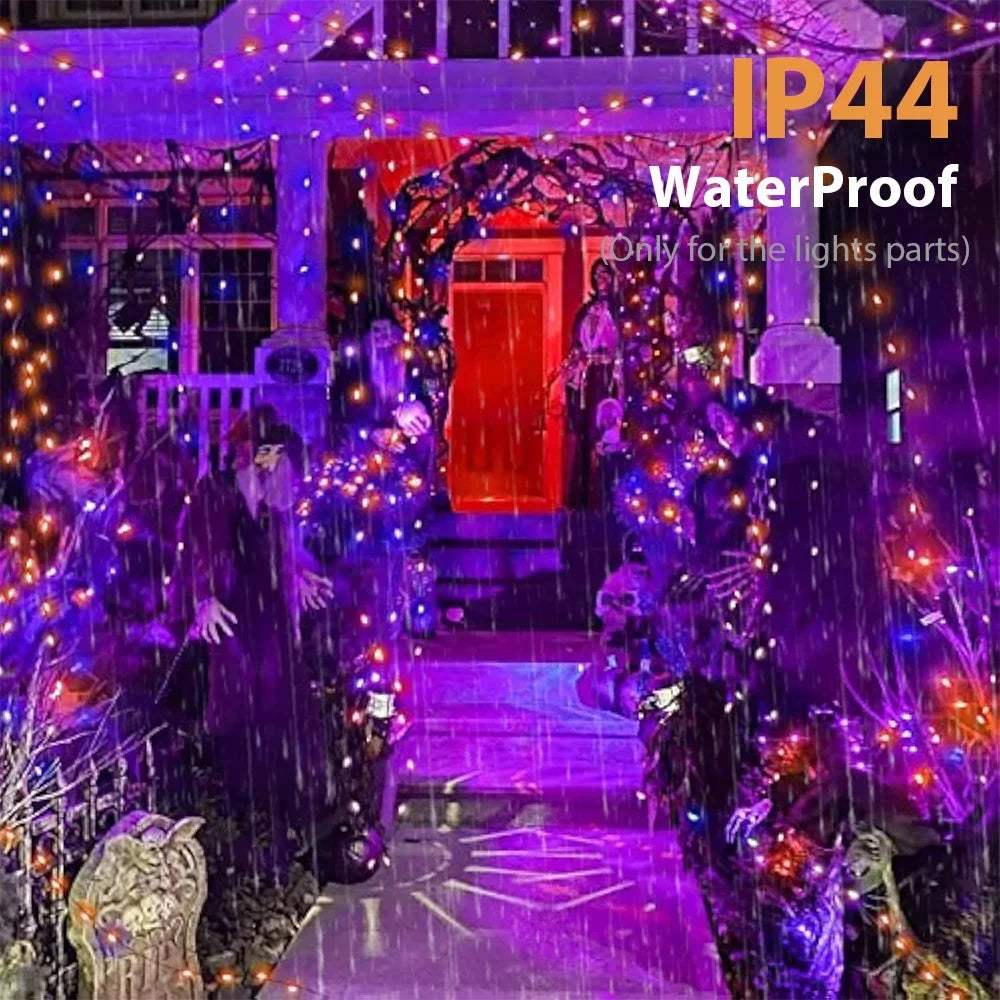 Purple and orange fairy lights decorating a doorway with festive holiday lights.