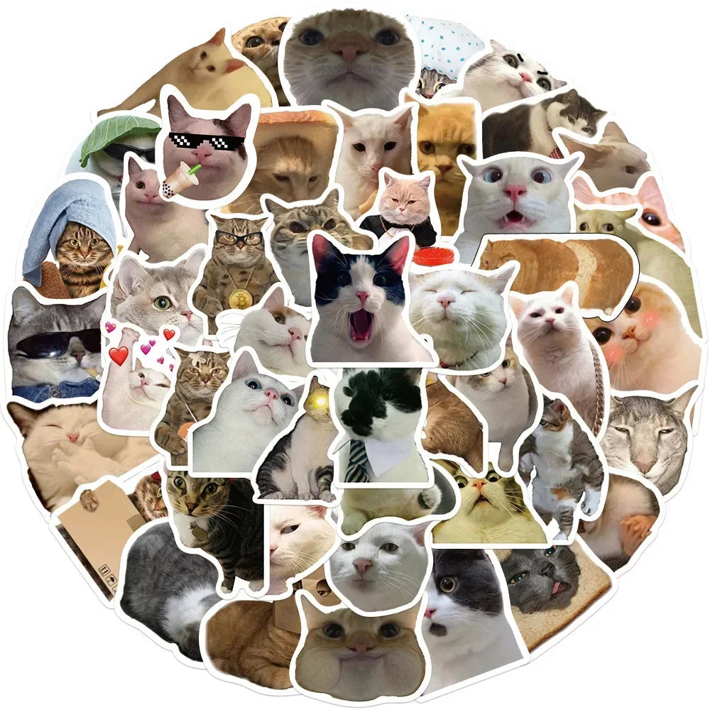 A circular collage of various cute cats and kittens with different expressions and colors.