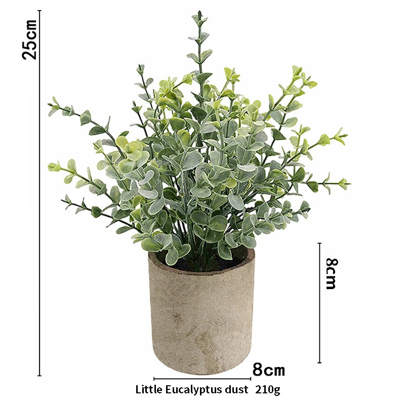 A small, leafy eucalyptus plant in a rustic pot with a natural, muted green color.